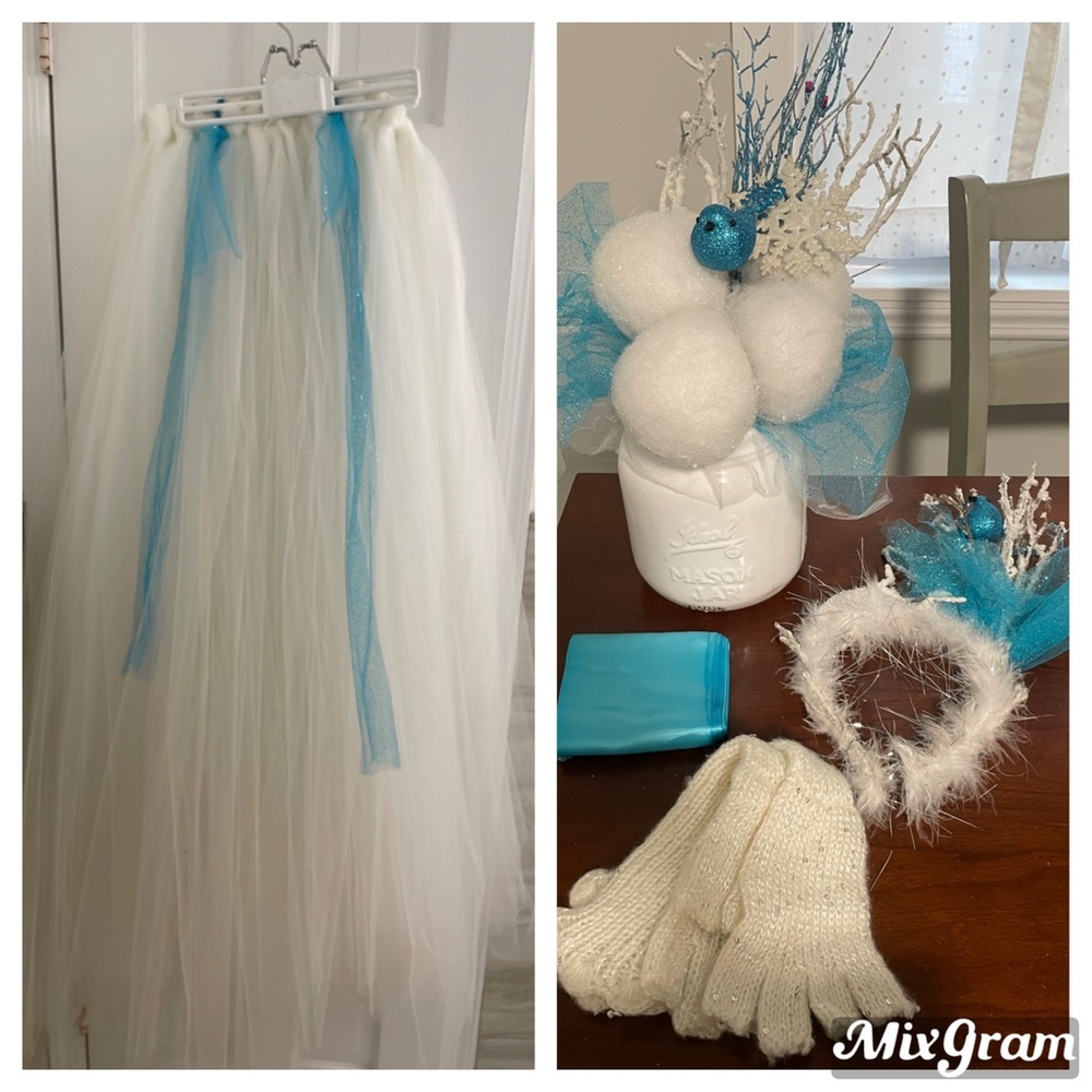 White and Blue Handmade Winter/Ice Princess Costume